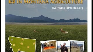 E3 in Agriculture -- Montana's Experience