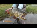 Fly Fishing for Big Tiger Trout with Mouse Patterns at Night