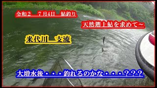 令和２  ７月４日  鮎釣り  米代川支流   大増水後は釣れるのかな・・？