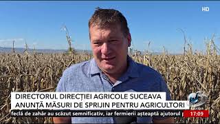 Recoltele din Suceava, afectate grav de secetă