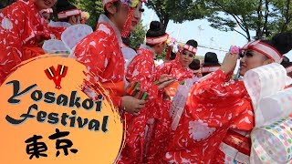 The fun dancing festival | YOSAKOI FESTIVAL in Tokyo