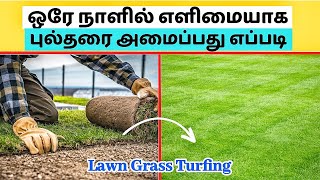 How to Install Lawn Grass - தமிழில் | Landscape Lawn Grass Turfing | Gardening Ideas Tamil