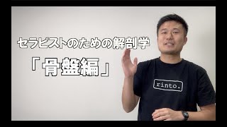 セラピスト向け解剖学【骨盤編】