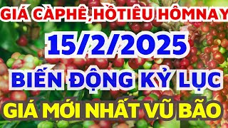 Giá cà phê hôm nay ngày 15/2/2025/Giá hồ tiêu hôm nay