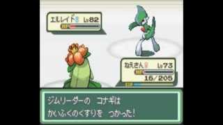 【改造ポケモン】ベガ実況プレイ　新境地の旅へ...part38