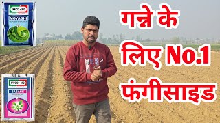 गन्ने के लिए No.1 फंगीसाइड ।। Best Fungicide For Sugarcane Crops ।। @AgricultureGuruji