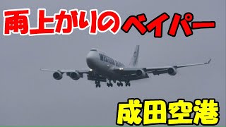 【雨あがりのベイパー 】2022.02.20　成田国際空港　NARITA　Airport 離陸　Takeoff　着陸　Landing　　＃飛行機　＃成田空港　 #ひこうきの丘