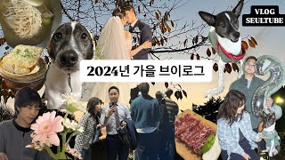 2025년에 올리는 2024겨울도 아닌 가을 브이로그 헤헤