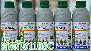 ថ្នាំអាំងវីលកម្រិត110Sc ឬ Hexaconazole110Sc