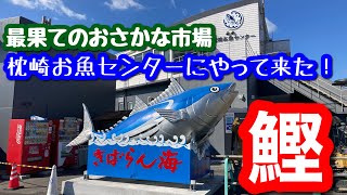 【最果てのおさかな市場】枕崎おさかなセンターにやって来た！【鰹とカツオと鰹節】