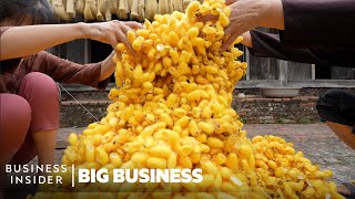 How Mountains Of Worm Cocoons Are Turned Into Expensive Silk In Vietnam | Big Business