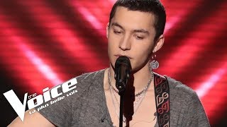 Elvis Presley - That's all Right Mama | Luca | The Voice France 2018 | Blind Audition