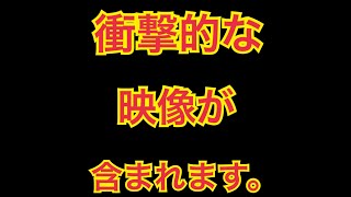 【閲覧注意】gasshow　「歌詞に隠された本当の意味とは？」