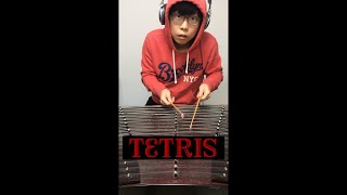 뭔지 모를 악기로 듣는 테트리스 TETRIS