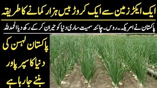 Modern Garlic Farming | G1 Garlic Farming \u0026 Feasibility in Pakistan | Ajmal Hameed