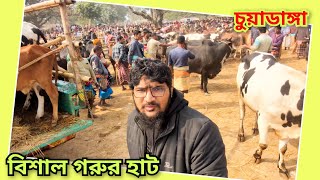 @ষাঁড় গরু উপস্থিতি আজকে বেশ অনেক|| শিয়ালমারি পশুহাট, চুয়াডাঙ্গা। 09Jan25