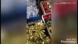 Traditional Christmas tree + how to set up l Czech republic