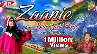 Zaanie Sou Yas Raye Aadan | Most Popular Kashmiri Song | Lyrics. Habib Parray