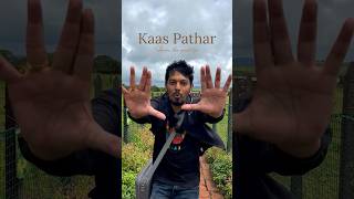 Kaas Pathar Satara 2023 😍 | Kaas Plateau  all things to know and flowers | Kaas Vlog Day Trip🤍