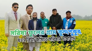 যেদিকে চোখ যাচ্ছে শুধু সরিষা - ৪২২ বিঘা জমিতে একত্রে সরিষা চাষাবাদ করে সারা ফেলেছে সারাদেশে || ROG