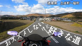 【バイク車載】おススメしないけど好きな道２　徳島県　土成町~脇町【CBR650R】