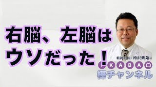 右脳、左脳はウソだった！【精神科医・樺沢紫苑】