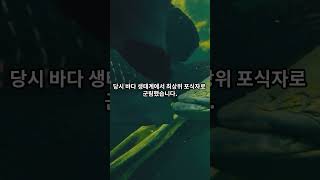 고생대 생물 - 실루리아기의 바다 전갈, 유리피테루스