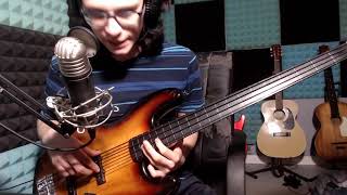 Why fretless bass?