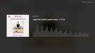 פרק 17- יציבות וחוסן בתקופה של משבר