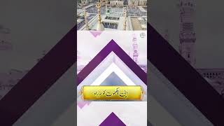Apne Daman e Shafaat - Hafiz Tahir Qadri Naat 2021