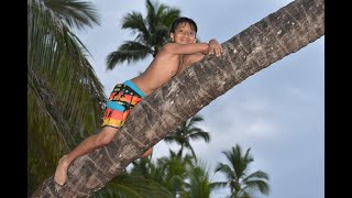 Las Terrenas, Dominican Republic - Horizontal palm tree climbing. Most amazing beach in the DR