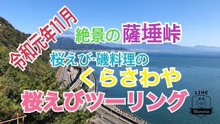 由比　桜えびツーリング　2019年11月