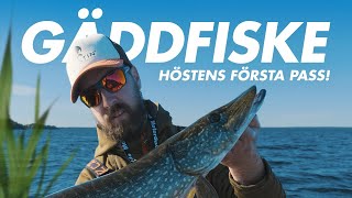 HÖSTENS FÖRSTA GÄDDPASS. GALET TREVLIGT! – VLOG¹⁰