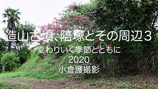 造山古墳、陪塚とその周辺３－変わりゆく季節とともに－千足古墳の復元－