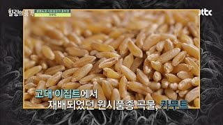 '카무트'로 항산화 성분과 식이섬유 모두 잡는다! 힐링의 품격 8회