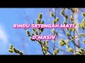 D'Masiv - Rindu Setengah Mati (lirik)