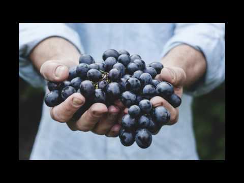 How to Keep Grapes Longer How to Keep Grapes Longer