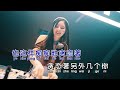 海来阿木《不如见一面》dj小毅版 ktv 导唱字幕 （备有伴奏视频）