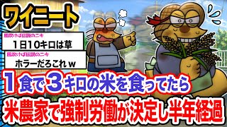 【悲報】ワイ「人間扱いしてもらえないンゴ...」→結果wwwwwwwwww【2ch面白いスレ】