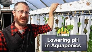 Lowering pH in Aquaponics Systems