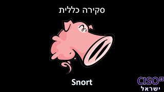 Snort - סקירה כללית