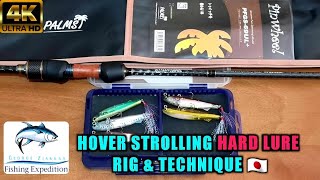 Hover Strolling Hard Lure Rig \u0026 Technique