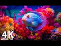 The Best 4K Aquarium - Dive Into The Mesmerizing Underwater Realm, Sea Jellyfish, Coral Reefs