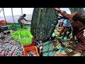 வலை போட்டு 1 2 மணி நேரத்துல வலை கிழிந்துவிட்டது trawlnet fishing.