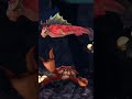 sharknarok vs big crab 🔥 hungry shark evolution