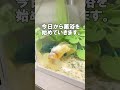 【ぷくお治療1日目】今日は薬浴をしてみました。元気になってくれるといいな、、、 水泡眼 スイホウガン 金魚 薬浴 治療