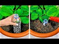 DICAS INCRÍVEIS DE JARDINAGEM PARA CULTIVAR QUALQUER COISA, EM QUALQUER LUGAR