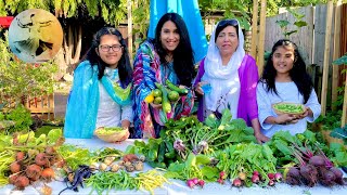 Harvesting vegetables in our Garden August (2022) | Malang Log Official