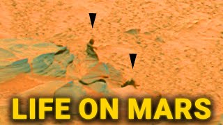 NASA rover discovery reveals there may have been life on Mars By The Facts Report