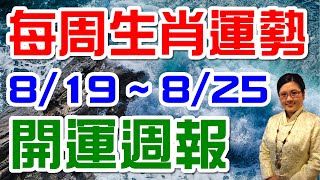 2019生肖運勢週報｜08/19-08/25｜金玲老師（有字幕）